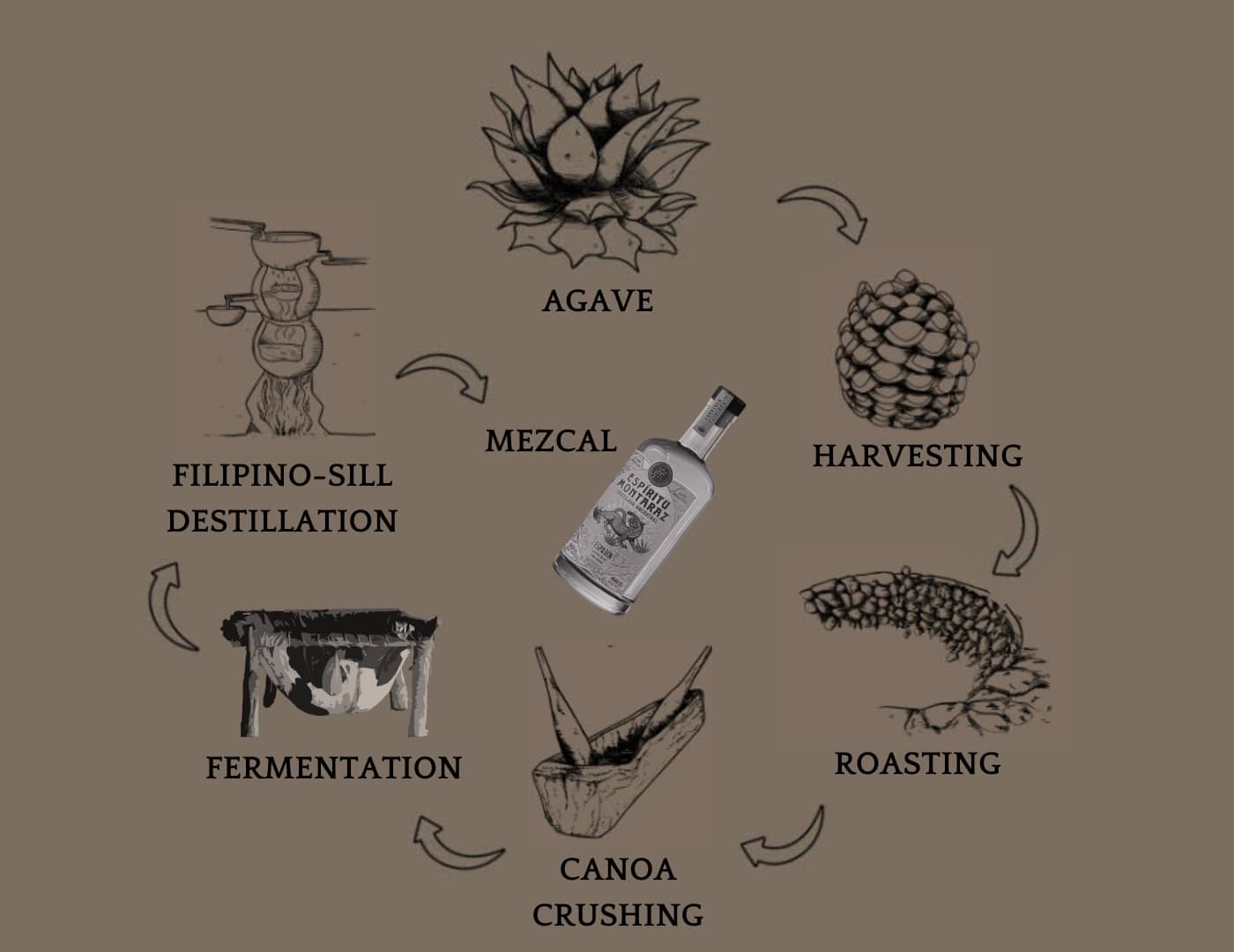 Mezcal ancestral step by step process description infographic