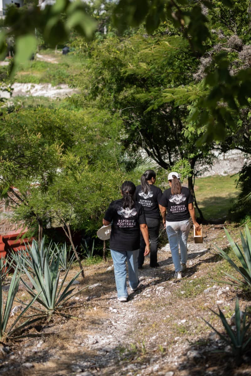 Portrait of the women of Espiritu Montaraz family walking in a rural street after collecting agave plants in Mexico
