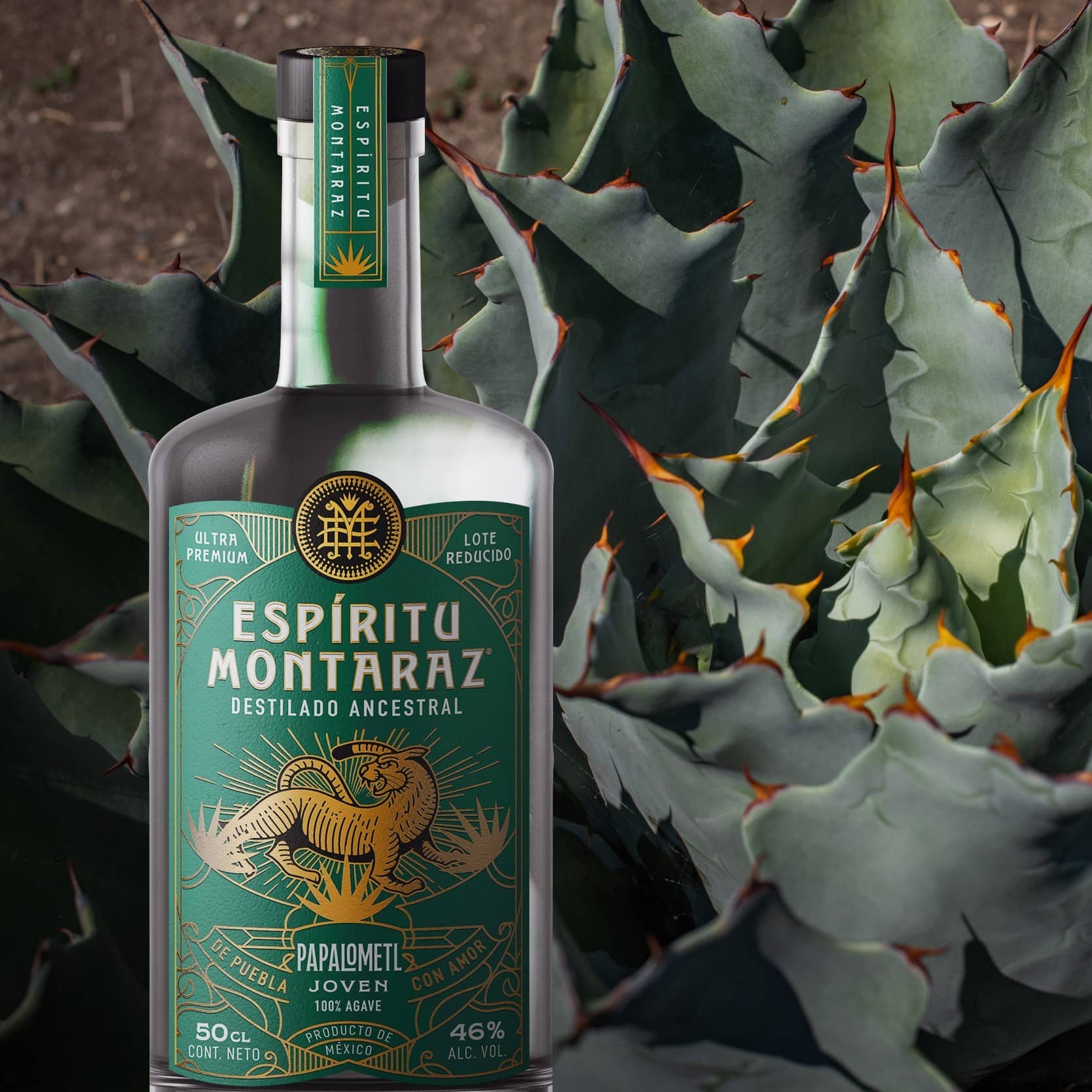 Papalometl Esperanza Ancestral Mezcal Espiritu Montaraz with agave background