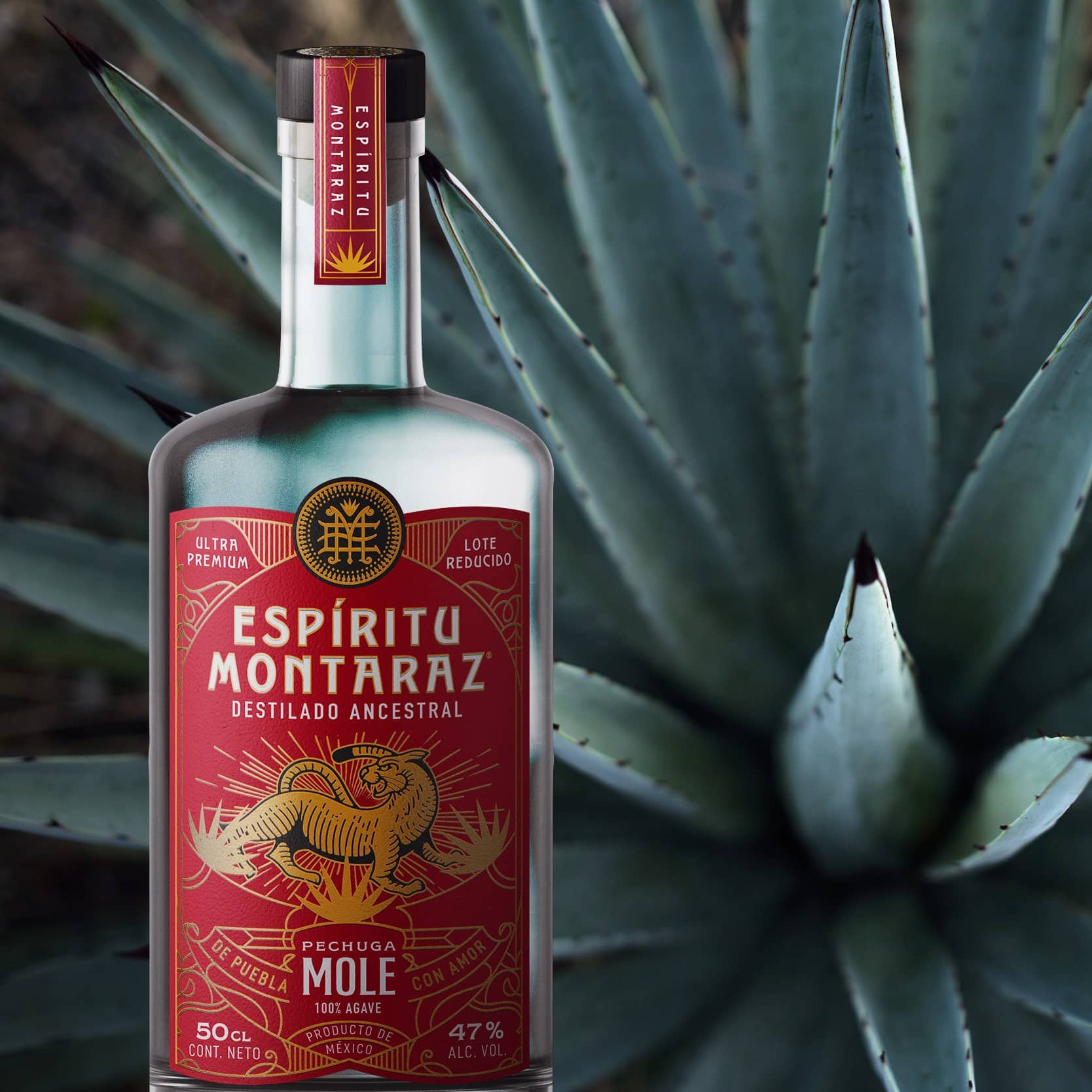 Pechuga de Mole Ancestral Mezcal Espiritu Montaraz with agave background